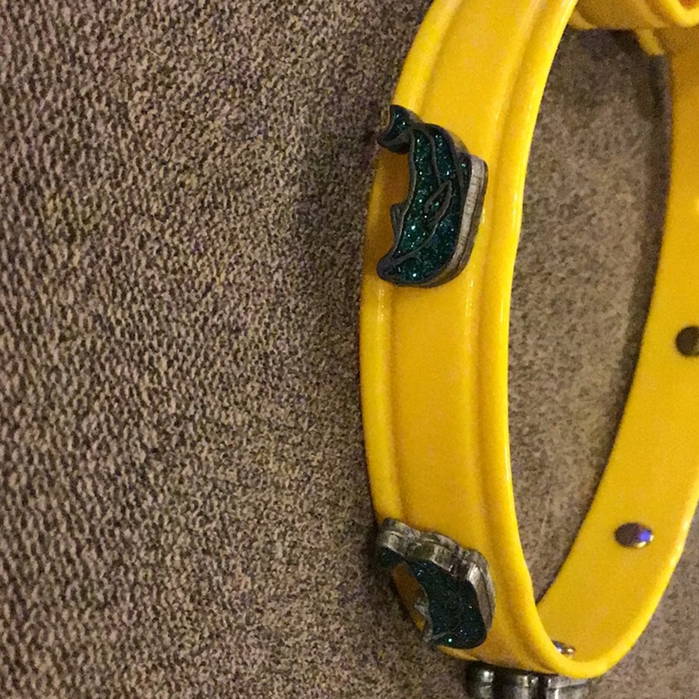 Dog collar - Picture 4 of 4